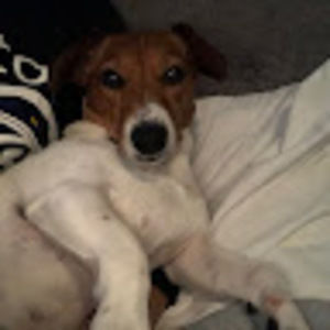 Meet your Posher, Enid